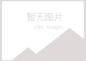 独山县冰夏咨询有限公司